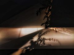 -尤加利咖啡馆