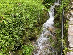 -MOJ coffee(瓯海泽雅水碓坑店)