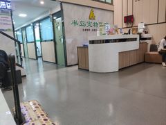 -半岛宠物医院24小时(科华中路店)