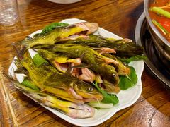 现捞黄辣丁-亮欢寨(凯里总店)