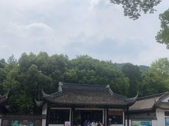 -上海佘山国家森林公园天马山园