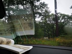 -罗田薄刀峰风景区