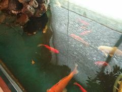 -中国建设银行(北京东四支行)