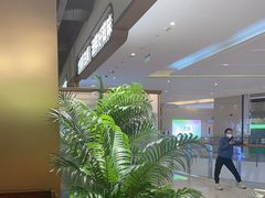 -洪氏嗨捞·广东猪肚鸡·椰子鸡火锅(西咸万象城店)