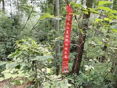 -青龙山国家森林公园