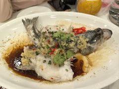 姜蓉蒸鲈鱼-东城食府·手工点心·37年老字号(虎门店)