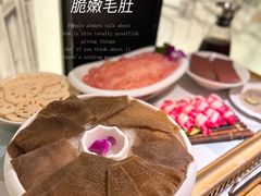 -雾都渣渣火锅(南城智汇城店)