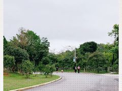 -广州市帽峰山景区