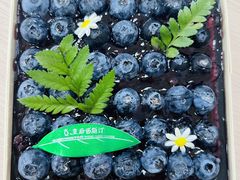 -皇后西斯汀(千姿汇店)