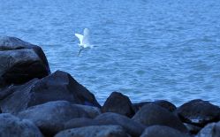 -苏菲亚婚纱摄影