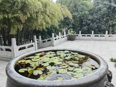 -西安大兴善寺