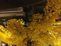 -江南韵·无锡太湖文化体验餐厅(凤凰天街店)