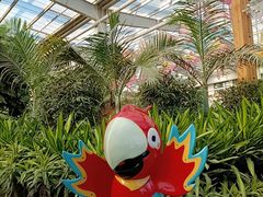 -南宫五洲植物乐园