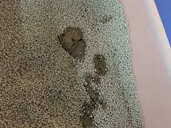 -北京观赏动物医院·24小时大型综合·猫专科·异宠专科