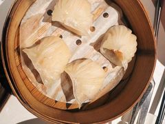 申粤虾饺皇-申粤轩酒楼(丁香花园店)