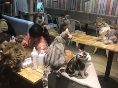 -小时光咖啡馆(开森度假森林店)