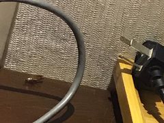 -厦门蓝湾半岛酒店