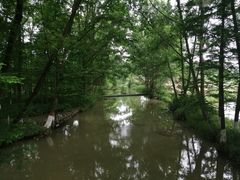 -桤木河湿地公园