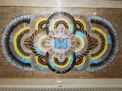 -上海昆虫博物馆