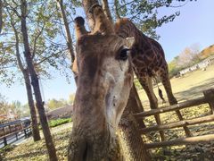 -大连森林动物园