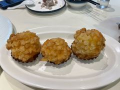-丁老爷子苏香圆