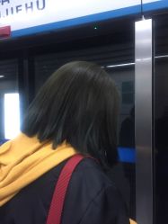 -大象造型