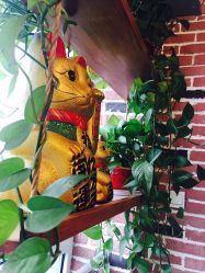 -蔚蓝映像STUDIO婚纱摄影(南稍门店)