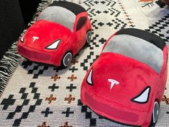 -TESLA 特斯拉(北京南四环中路特斯拉中心)