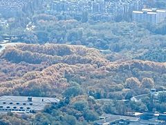 -紫金山山顶公园
