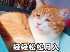 -新月斋(豆瓣胡同店)