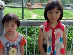 -广东茂名森林公园