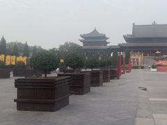 -大槐树寻根祭祖园