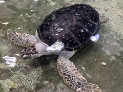 -嘉兴海底世界