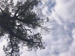 -洋湖国家湿地公园