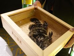 游水东南亚老虎斑-ONE FULL 古董港式海鲜火锅