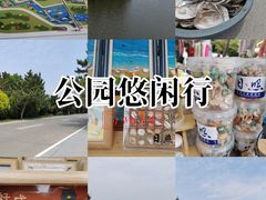 -日照海滨国家森林公园