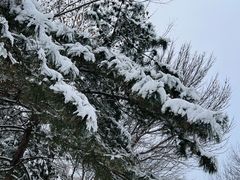 -知春路(地铁站)