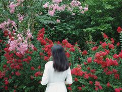 -杭州城北体育公园