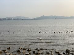 -深圳湾公园(南山区)