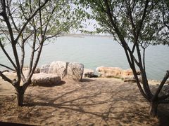 -天津东丽湖风景区