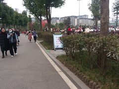 -枫香湖儿童公园