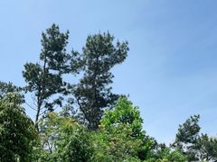 -狐尾山公园