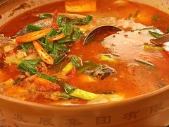 番茄砂锅鱼头-千岛湖鱼味馆(十字街总店)