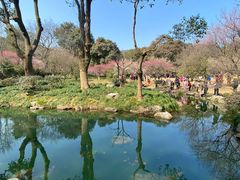 -杭州植物园