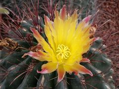 -南通洲际绿博园