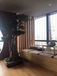 -涂tu指甲日式美甲美睫店