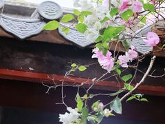 -深圳国际园林花卉博览园