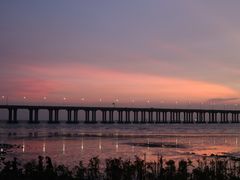 -宝安西湾红树林湿地公园