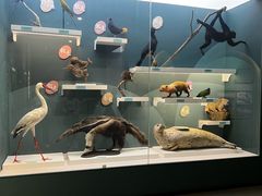 -国家自然博物馆