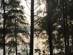-东湖落雁景区